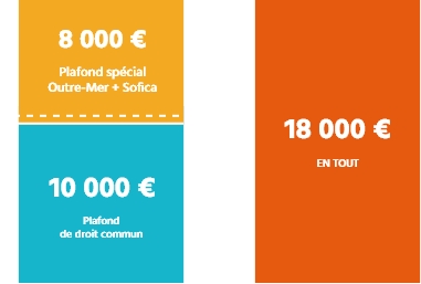 Loi Girardin Industriel 2020 Loi Girardin Et Plafond Global Des Niches Fiscal